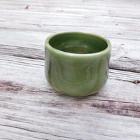 Planter Bowl, Succulent