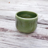 Planter Bowl, Succulent