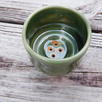 Planter Bowl, Succulent