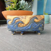Waves, Bonsai or Plain ol' Planter