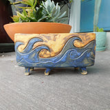 Waves, Bonsai or Plain ol' Planter