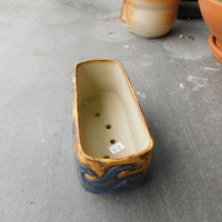 Waves, Bonsai or Plain ol' Planter