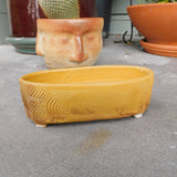 Orange Oval w/ Feet Planter
