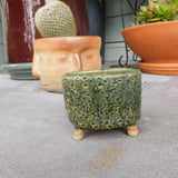 Green  Succulent Pot with Feet