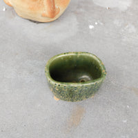 Green  Succulent Pot with Feet
