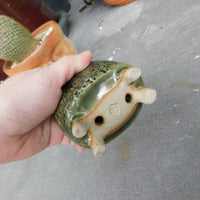 Green  Succulent Pot with Feet