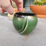 Green Etched Cup/Pot