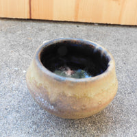 brown rough glaze Bowl