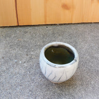 cream black cup/Bowl