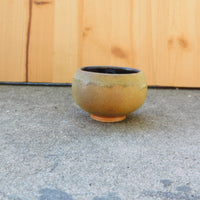 tan cup/Bowl