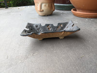 Ash Tray w Skulls