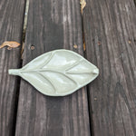 leaf (3) Tray