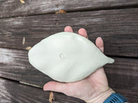 leaf (3) Tray