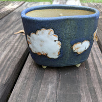 Clouds Planter