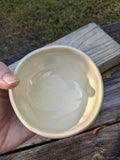waves  bowl